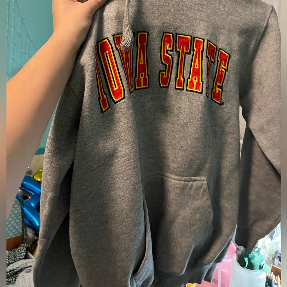 Sweatshirt - Picture 3 of 9
